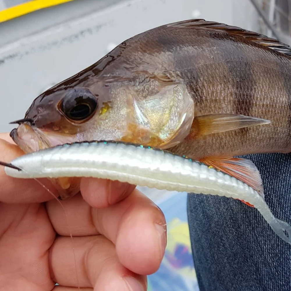 Señuelos de pesca Isca, cebo suave artificial para Lucio, perca, armadura, sábalo, cebo de silicona de 125mm - imagen 3