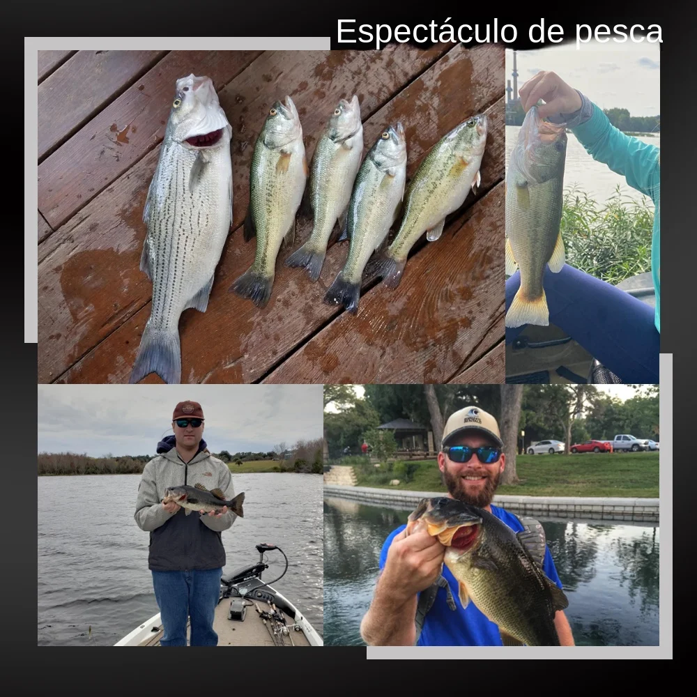 Señuelos blandos Spinpoler 2″ – Jerk Minnow cola dividida para lubina - imagen 5