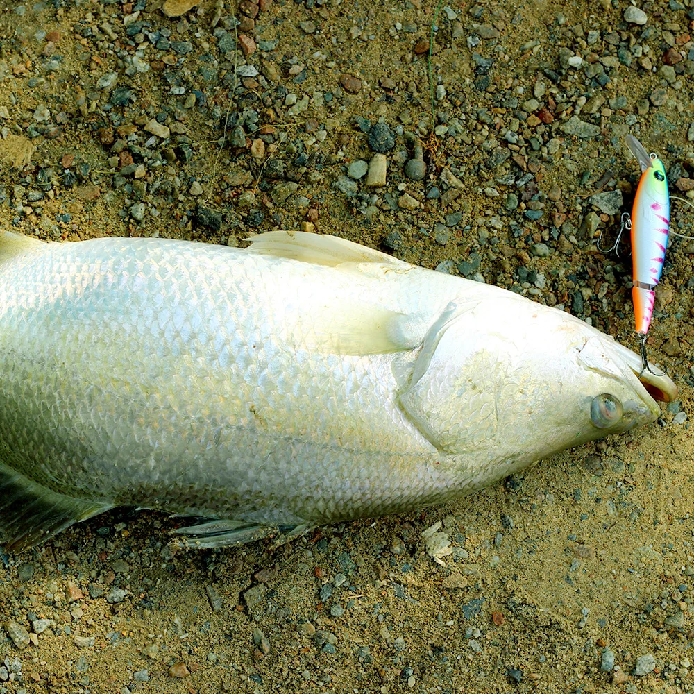 Señuelo de pesca flotante de 95mm y 14g, sonajero, jerk, swimbait realista, 2 secciones, mulit articulado, Jerkbait, Lucio, Wobbler para perca y lubina - imagen 3