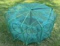 24holes cage