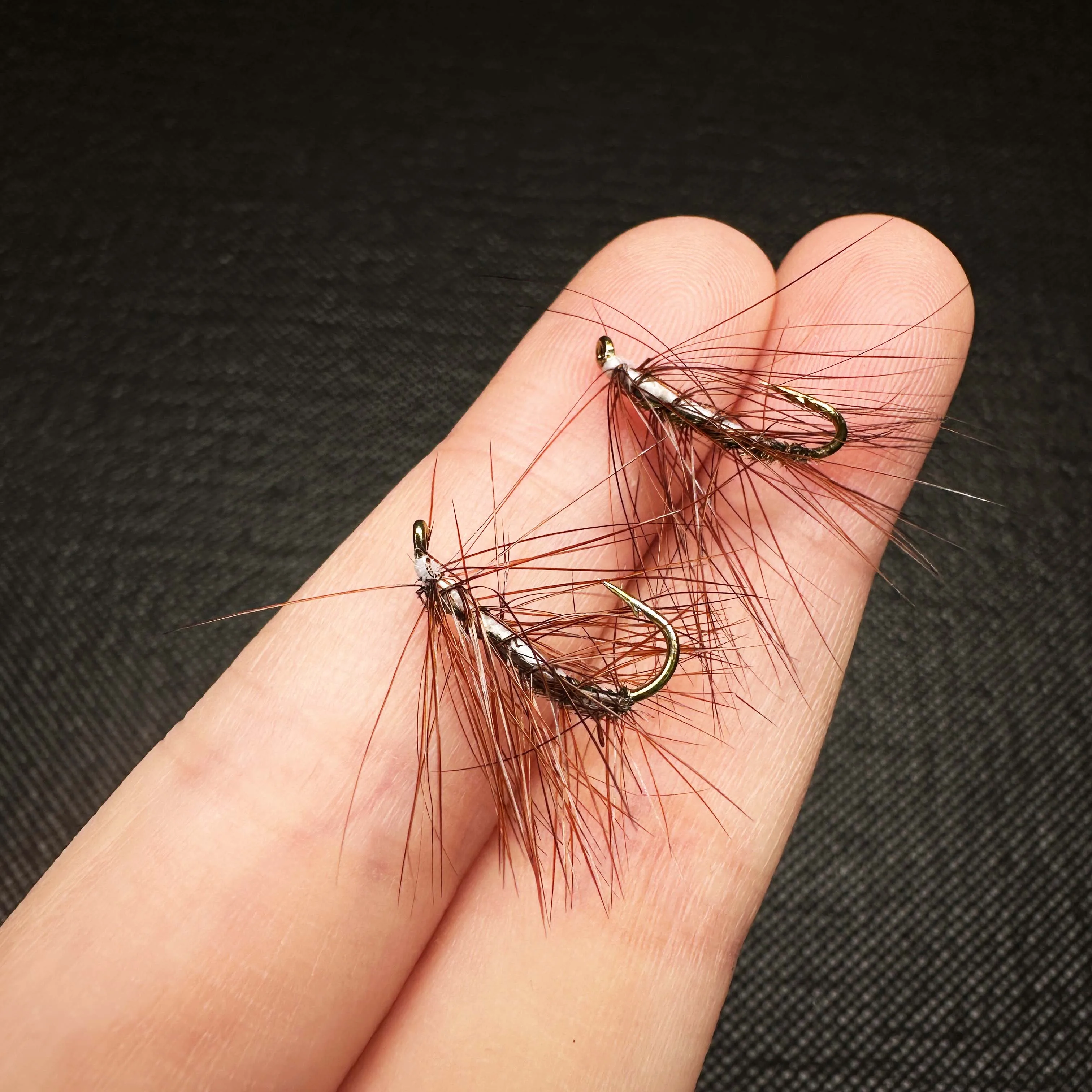 Señuelo de mosca Caddis de alce alado húmedo/seco para trucha - imagen 5