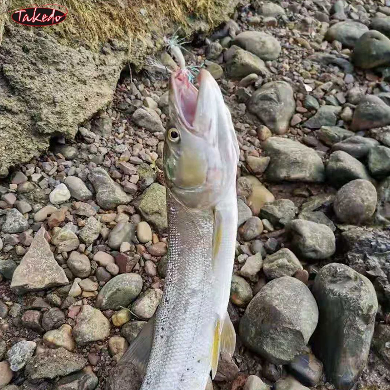 TAKEDO 6PCS/Caja 4 #   6 #   8 #   10 #   12 #   Anzuelo de pesca con mosca, cebo Artificial con forma de camarón, señuelo para Pout, pez mandarín - imagen 5