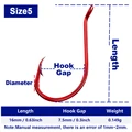 size 5