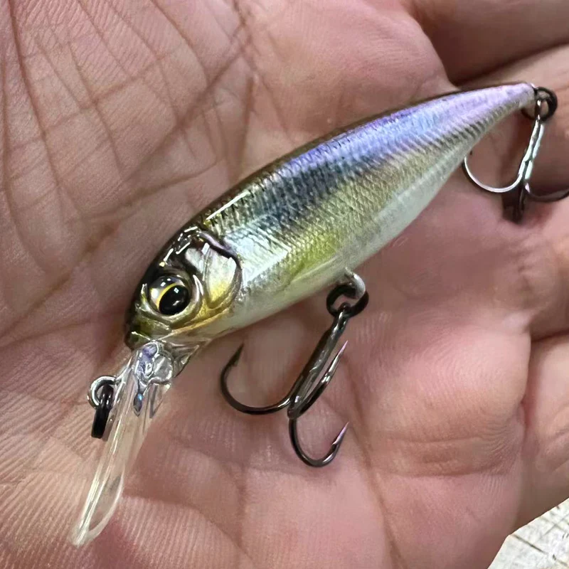 Japón IMAKATSU Luya flotante Mino RIPRIZER tiro lejano lubina perca de mar cebo falso 60F/110F - imagen 5