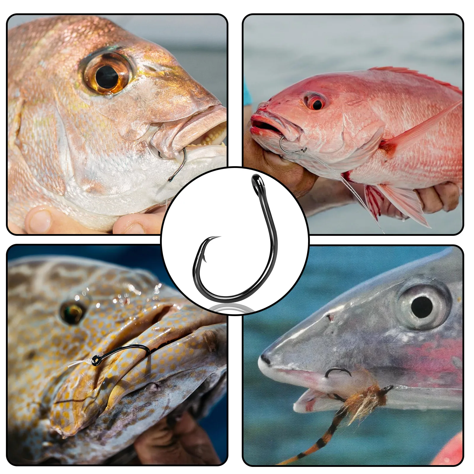 Anzuelo Circular Ancho para Lubina y Crappie – Agua salada y dulce - imagen 5