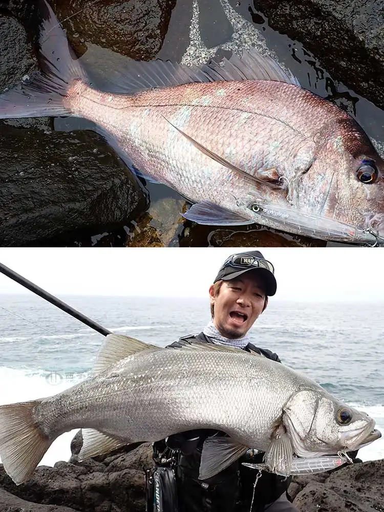 DUEL Bullet Fast Luia señuelo hundible para pesca marítima - imagen 3