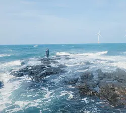 Imagen de reseña 2