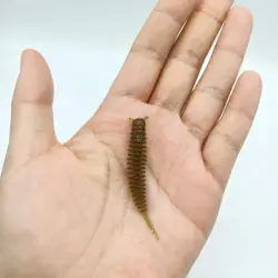 DUODUOYU 20 piezas nuevo Mini señuelo de pesca suave 1g/45mm cebo de plástico Ajing cola de una sola aguja cebo Artificial aparejos de pesca