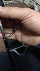 Imagen de reseña 3
