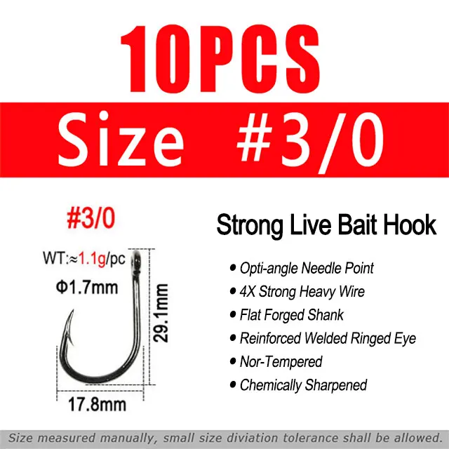 10PCS Size 3l0