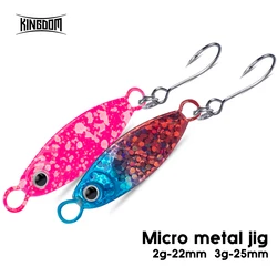 Kingdom 2 uds Señuelos de Pesca Jigging 2g 3gSinking pesca plantilla de Metal señuelo plantilla de Metal con un solo gancho cebo duro accesorios de pesca
