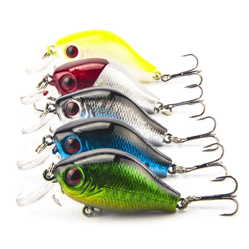 5 piece Mixed Colors