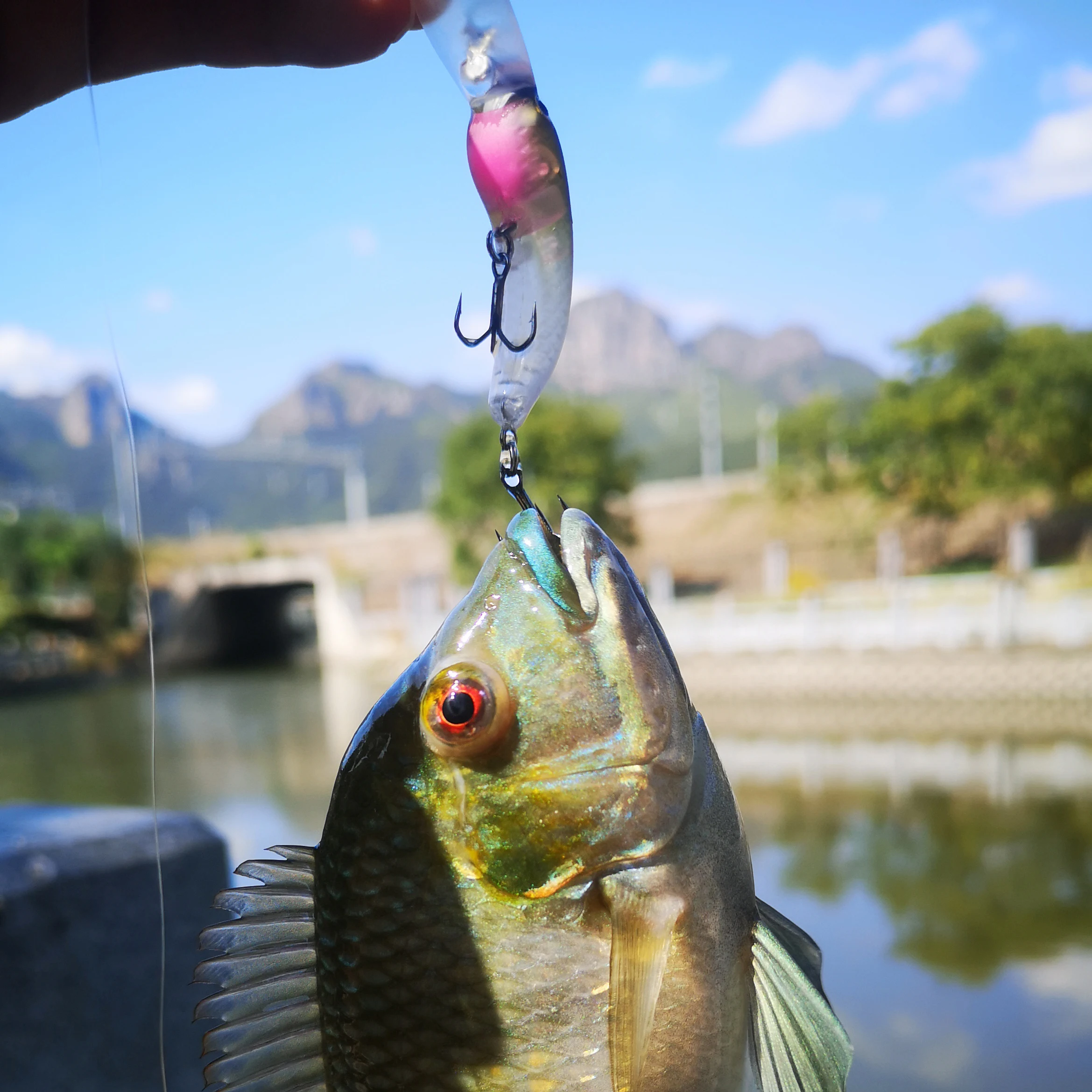 Luretv 40mm3g insecto de morto japonés Micro-mate flotante trucha arcoíris roca pequeña grasa Minolua cebo - imagen 3