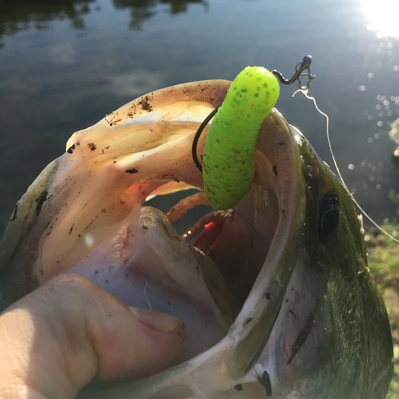Señuelo japonés GARY YAMAMOTO, súper señuelo de alta gravedad específica, insectos blandos sumergidos, patatas, cebo sin plomo, Pit Lore negro - imagen 4