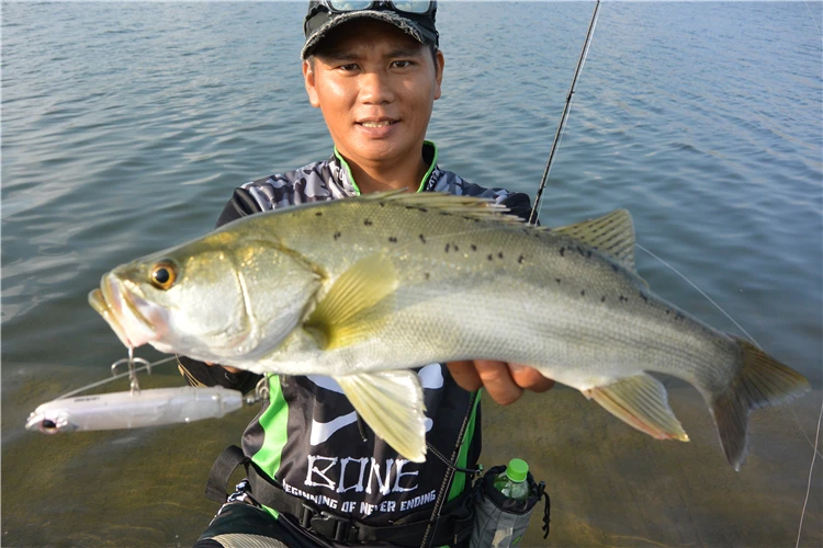 Hueso Bomber HOVERJET Surface Propeller lápiz Wave Climbing Super-cebo de largo alcance - imagen 4