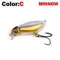 C-minnow