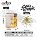 2Pcs small size-F