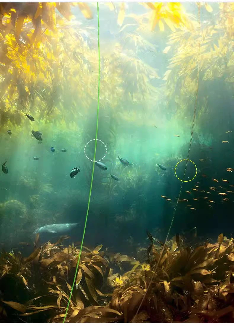 Línea de pesca de nailon verde para carpa de 100M, línea de monofilamento súper fuerte, Material japonés, línea líder de pesca de carpa de agua salada - imagen 5
