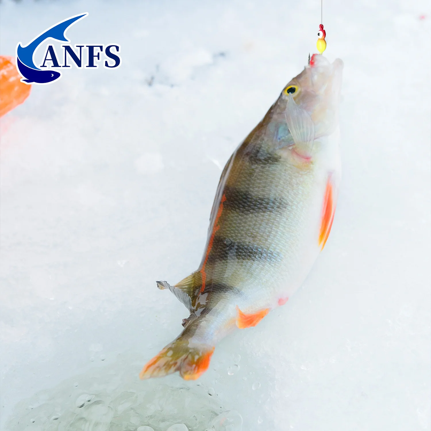 ANFS-Kit de plantillas de pesca en hielo, Señuelos de pesca en hielo para perca dorada, cabezales para aparejos de pesca en hielo, plantillas tipo panfish, 5 uds./40 Uds. - imagen 5