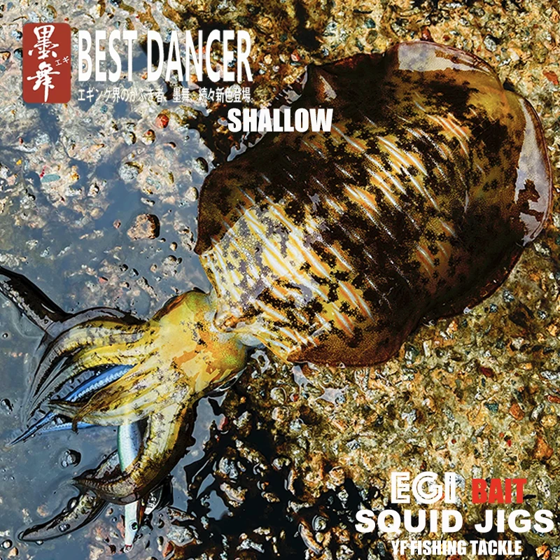 FUKUSHIMA 3,5 calamar JIGS POP EGI señuelo pesca lana SHRIMP BAIT CUTLEFISH sonido brillante afilado ganchos piel de seda 19 gramos poco - imagen 5