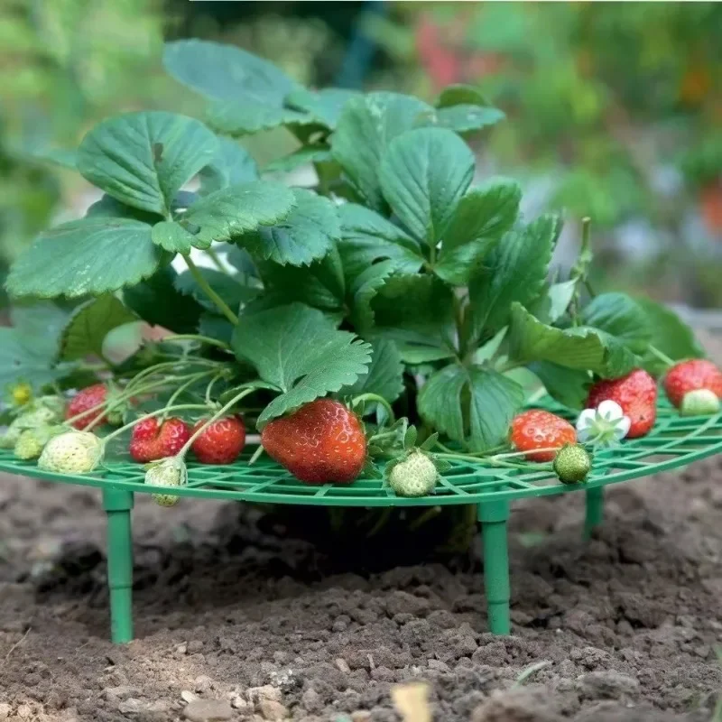 Estantes para cultivo de fresas, soporte para plantas, soportes para fresas con 4 patas resistentes, soporte para frutas y plantas de jardín, accesorios para jardín - imagen 3