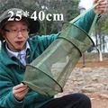 25cm