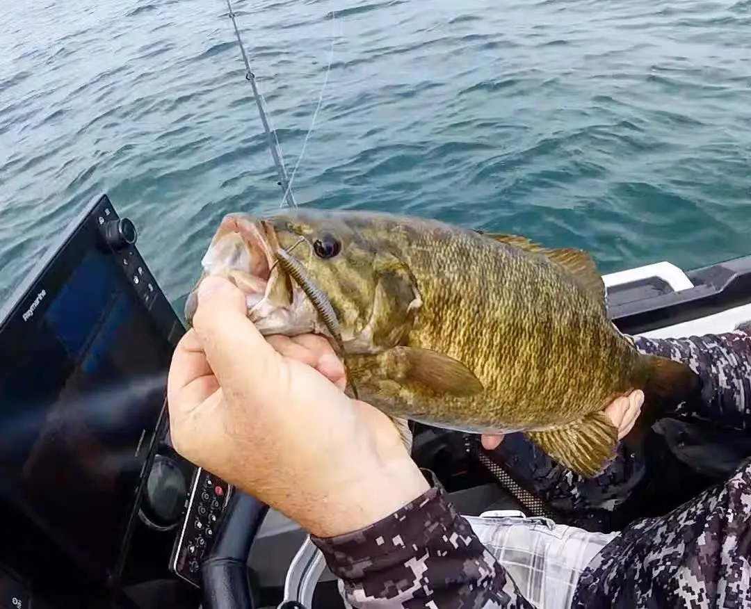 MISSILE BAITS-señuelo de pesca fino con cola plana, cebo suave, importado de EE. UU. - imagen 2