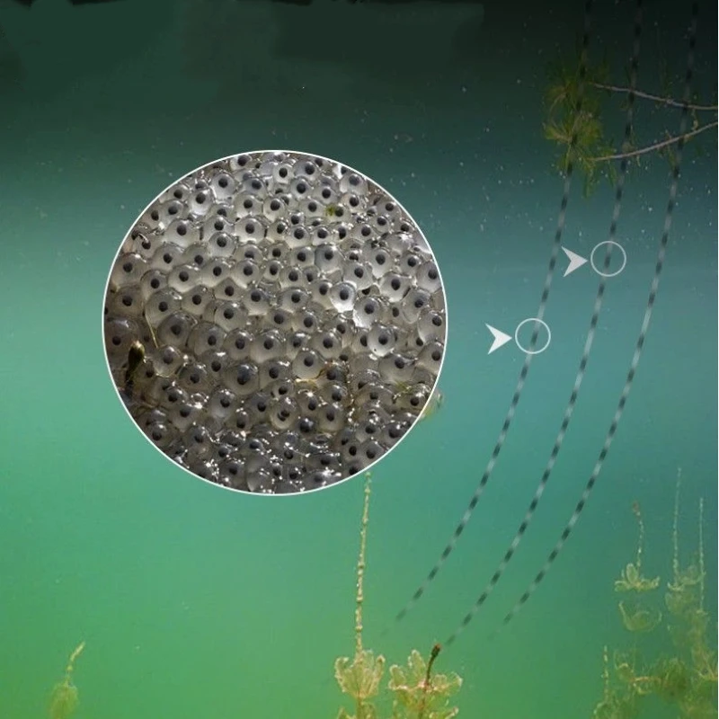 Sedal de pesca nylon super suave alta resistencia sin pliegues - imagen 4