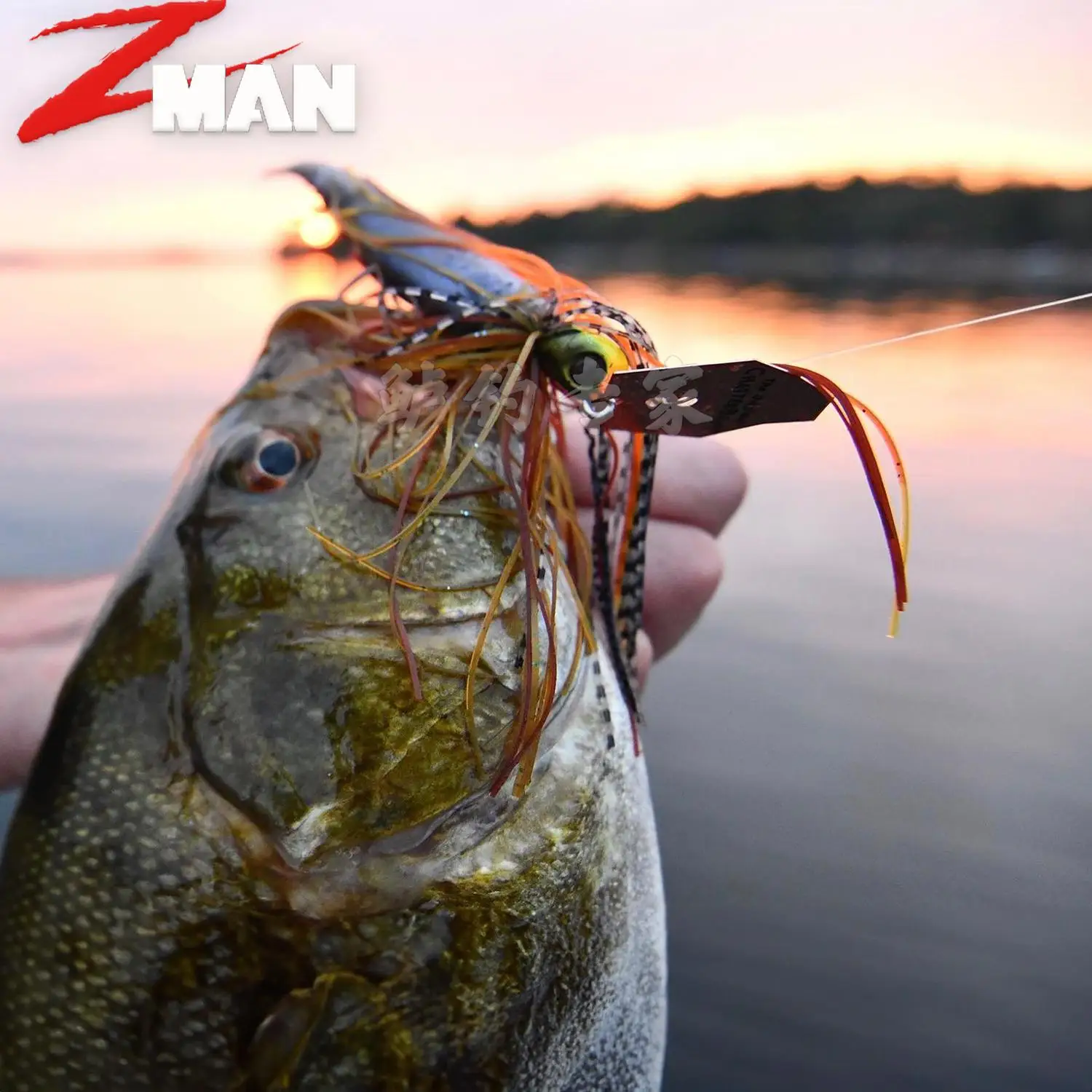 American Zman nueva placa de retención Chatterbait Elite EVO señuelo de alta calidad cebo falso pegamento grupo JIG - imagen 5