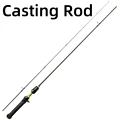Casting Rod