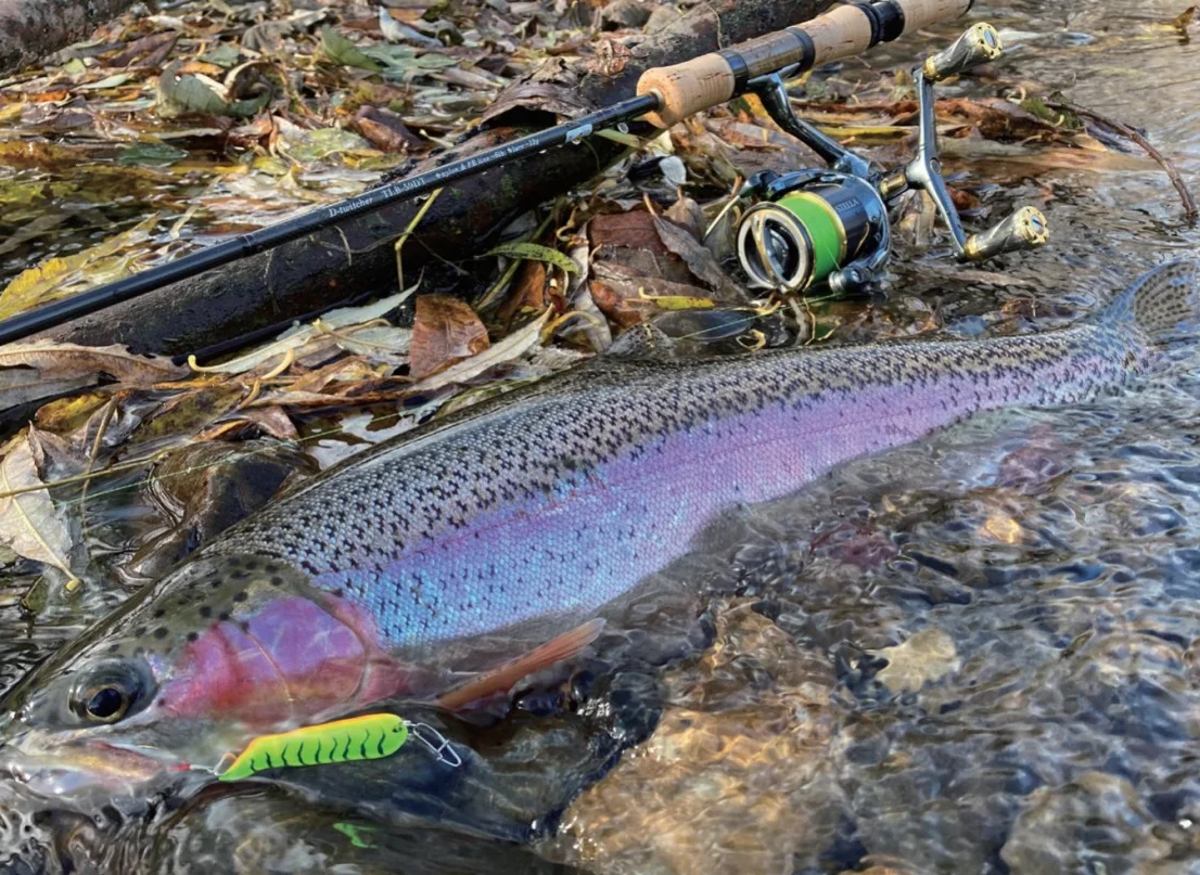 SMITH Smith Mountain-cebo de boca de caballo para trucha, cebo femenino con lentejuelas, Micro-materia Stream, Sub-bait, 4G, 5G, 7g, importado de Japón - imagen 3