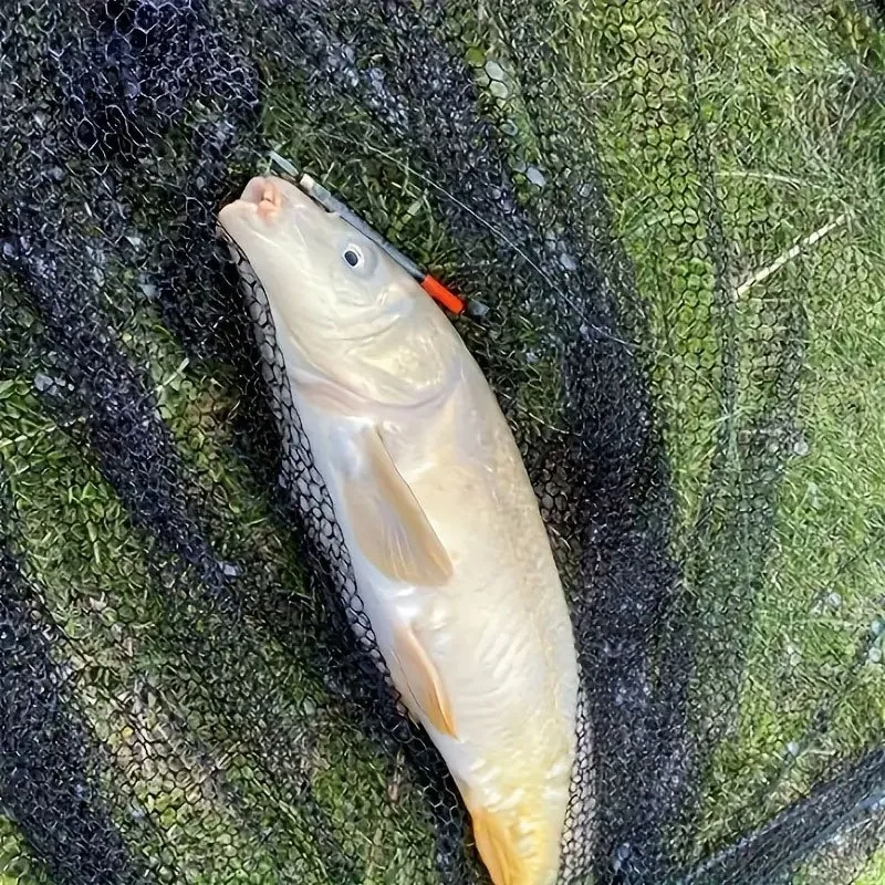 11 cm-19 cm 4 unids/lote flotadores de pesca transparentes tubos flotantes para boya de pesca de carpa flotadores de luz de pesca accesorios de aparejos - imagen 4