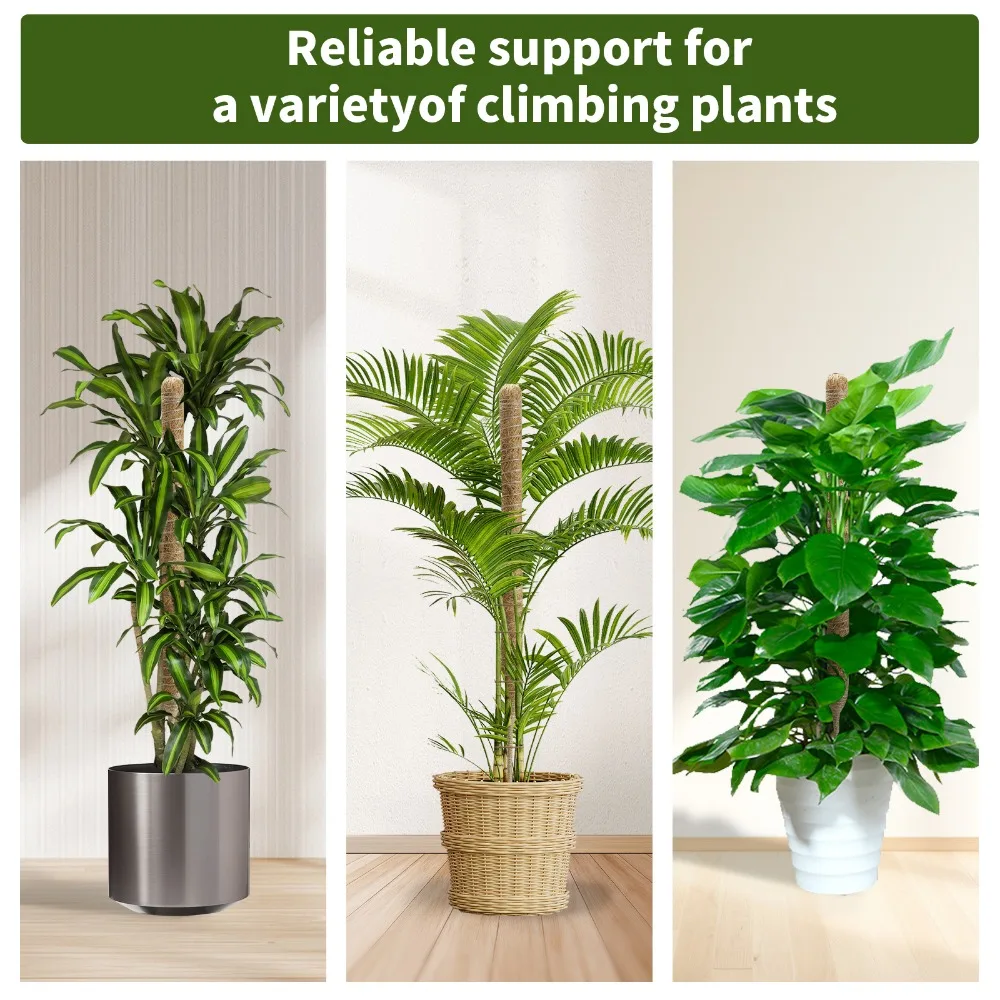 Poste de musgo de Coco flexible, jaula para plantas, poste trepador, extensión de soporte para plantas Monstera, cultivo hacia arriba, jardín - imagen 3