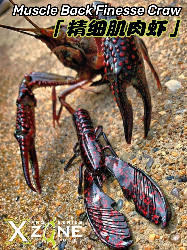 Importado de los Estados Unidos XZone Muscle Shrimp 3,25 "pérco de camarones flotante cebo suave atlético Brandon Paranuc - imagen 3