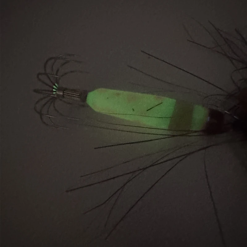 Señuelo de pesca brillante para pesca nocturna