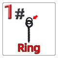 1   Ring