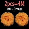 2pcs Orange