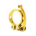 Gold 41mm