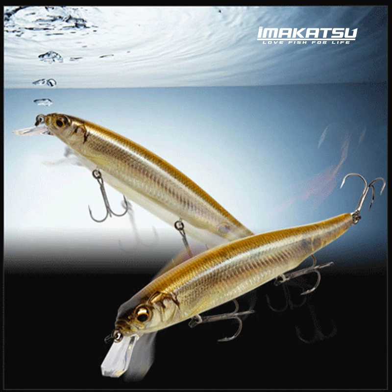 Japón IMAKATSU Luya flotante Mino RIPRIZER tiro lejano lubina perca de mar cebo falso 60F/110F - imagen 2