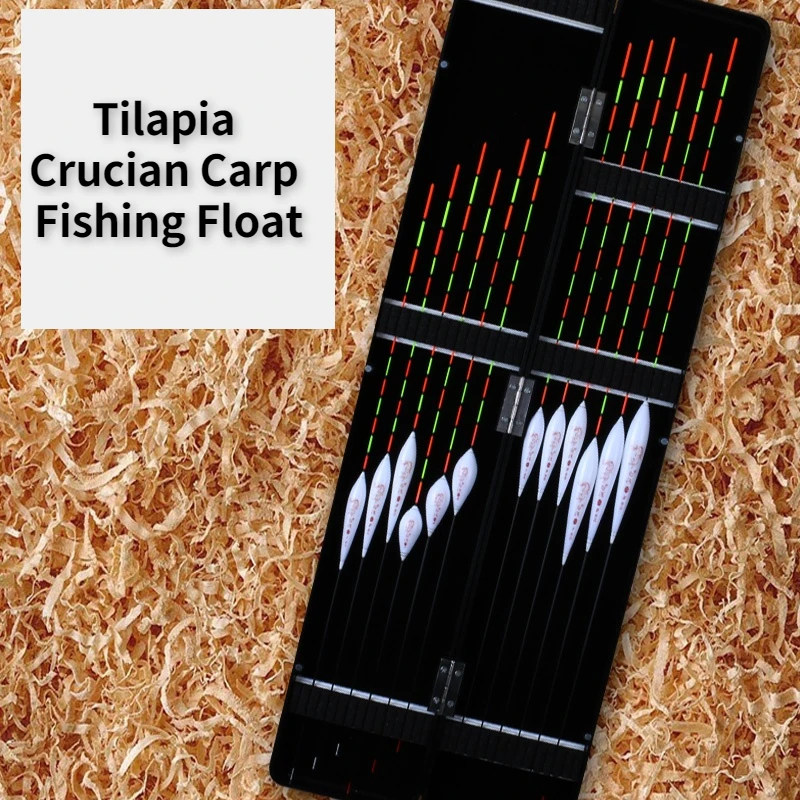 Juego de flotadores de pesca con caja, boya Vertical llamativa para miopía, Tilapia, carpa cruciana, alta sensibilidad - imagen 4