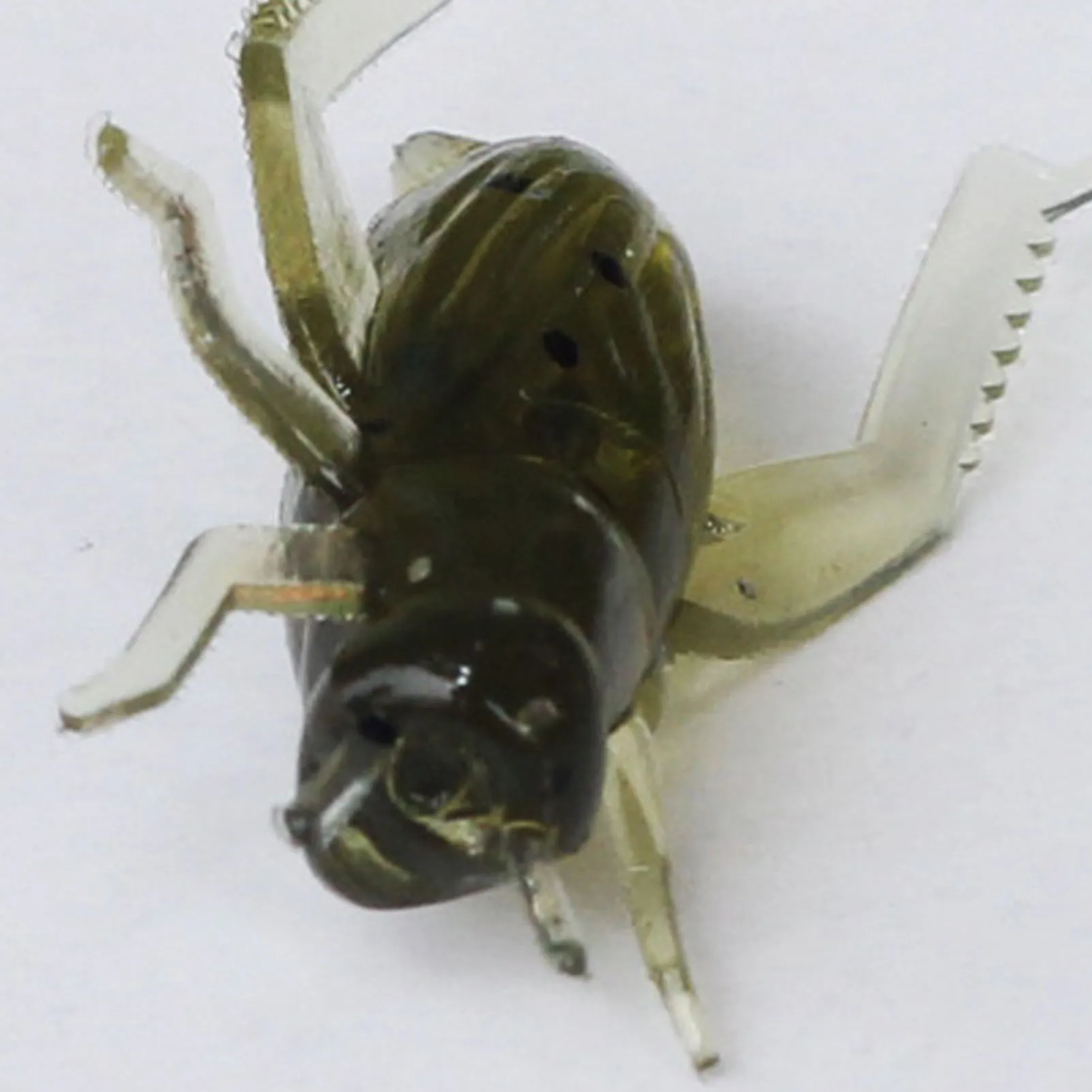 Señuelos de Pesca de piezas, cebo suave de 2,5 cm, Artificial, realista, portátil, duradero, para lubina, trucha, pez negro, 10 Uds. - imagen 2