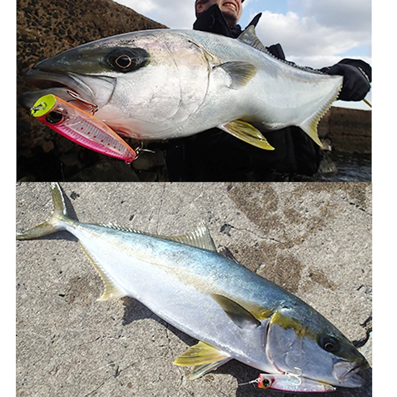 Sistema de superficie de cebo de escalada de onda de Pesca de Mar DUEL, 45 gramos, golpea la ola de agua y acuesta en el barco para atrapar - imagen 4