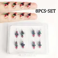 8Pcs-Box