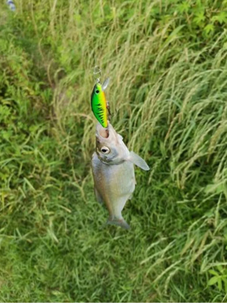 Señuelos de Pesca piezas, cebos giratorios para pececillos, 5,5 cm/6,5g y 7cm/10g - imagen 5