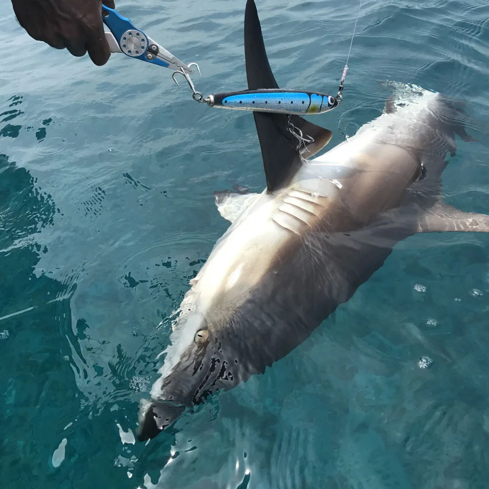 OBSESSION WD101 90g 120g 140g señuelo tipo lápiz de madera de aguas profundas cebo de atún Topwater de agua salada juego grande peces curricán de madera cebos emergentes - imagen 4