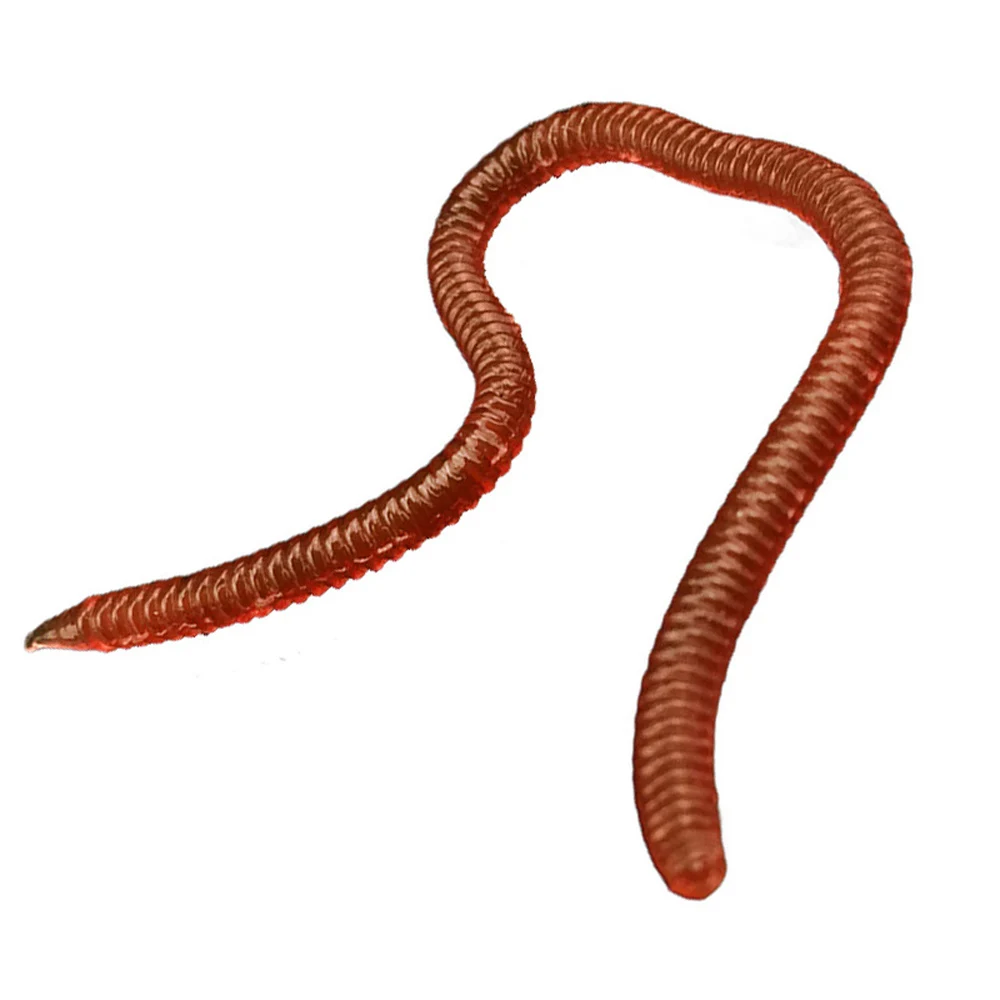 Gusano rojo de silicona realista, señuelos blandos de 3,5 cm, 8cm y 10cm, cebo Artificial de gusano de tierra, aditivo de sabor de Camarón, aparejos de carpa de lubina, 50 unids/lote por caja - imagen 3