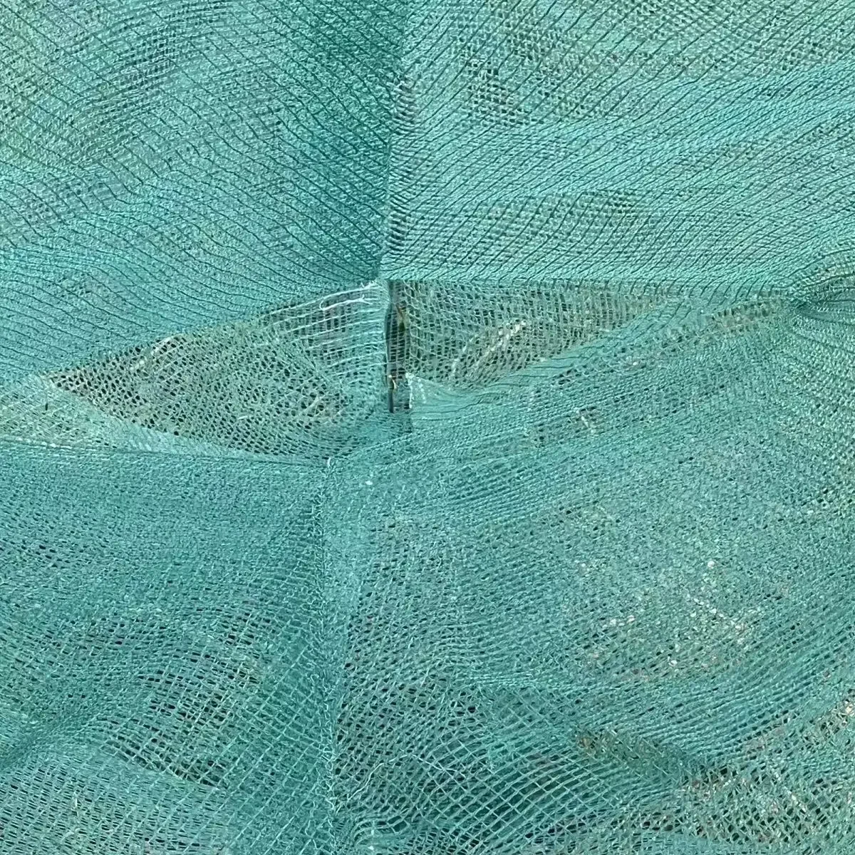 Jaula para camarones Lawaia con cadena de hierro, Red de trampa, jaula de pesca plegable, flotador de espuma, malla pequeña, SIN Cadena, 1m, 2M, 3M - imagen 5