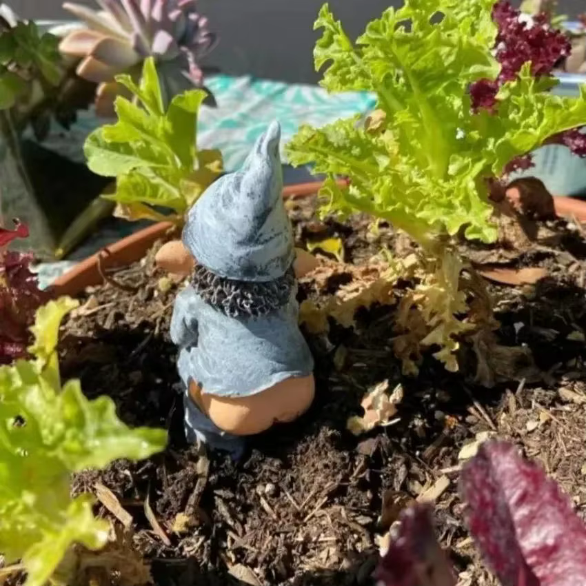 Figura de enano en el inodoro – Adorno de jardín divertido artesanal - imagen 4