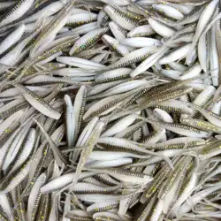 DUODUOYU Mini Señuelos Suaves Swimbaits Cola Bifurcada Agua Dulce