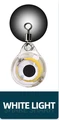 WHITE LIGHT